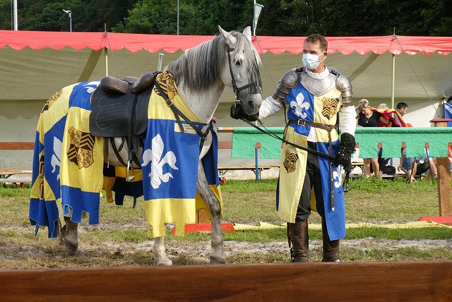 政策的动因 政策的动因