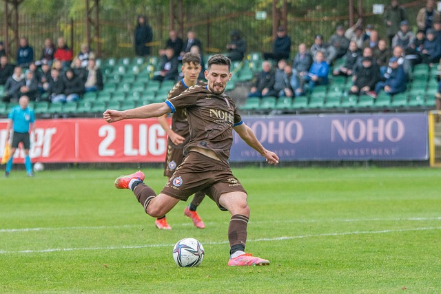 瓦伦西亚的 瓦伦西亚的