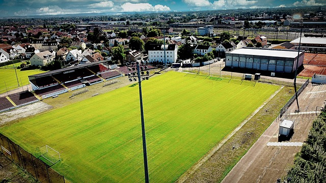 确表态未来 确表态未来