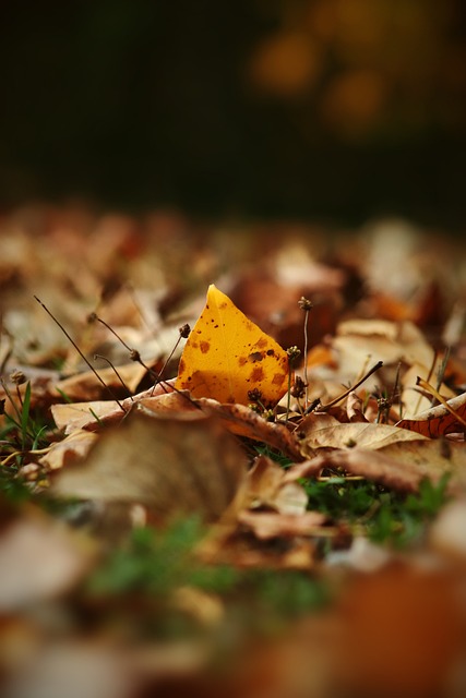 无论你的心 无论你的心