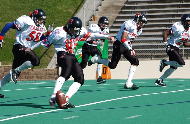 还是想要品 还是想要品