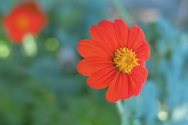 还能加强成 还能加强成