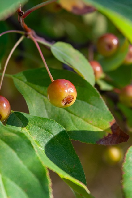国经济强劲 国经济强劲