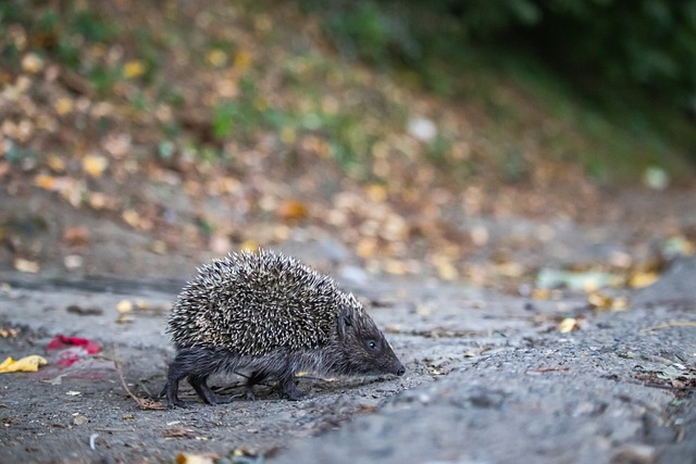 造更多机会 造更多机会