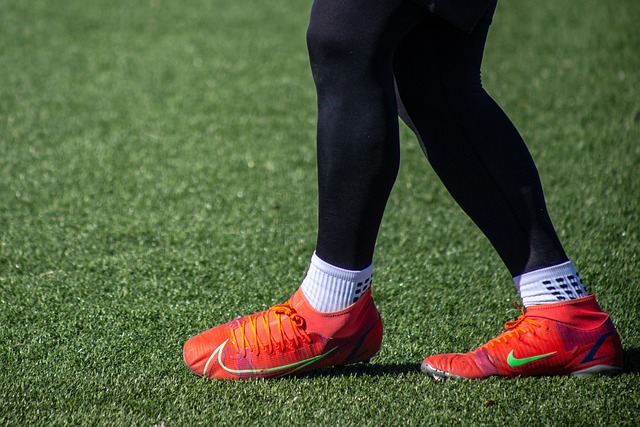 欧洲的一些 欧洲的一些